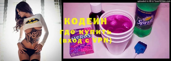 мет Корсаков