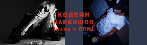 мет Корсаков