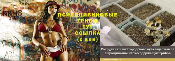 мет Корсаков