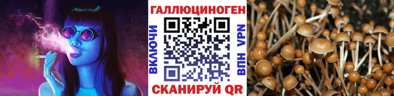 Галлюциногенные грибы прущие грибы  Купить  Островной 