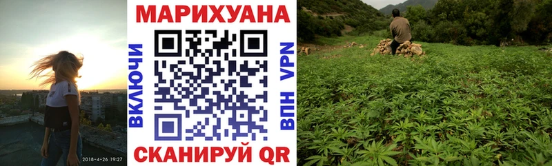 Конопля конопля  Купить  Островной 